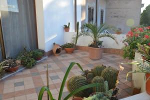 Sa Domo Tua IUN E5942 img12