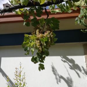 Casa na Quinta de Valinhas