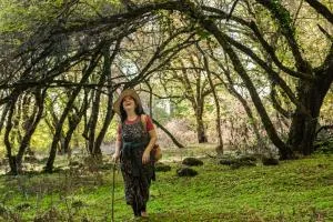 Ludwig Guesthouse - 扎卡塔雷