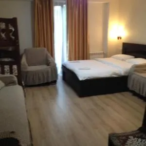 David APT on Bakuriani Orbi Palace - Bakuriani