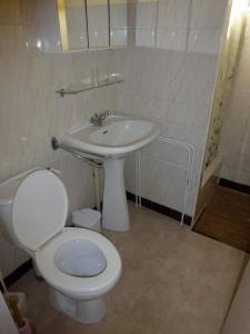 Appartements Les lauriers : Appartement - Rez-de-Chaussée