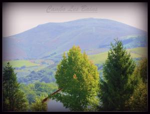 Hotels Hotel Ursula : photos des chambres