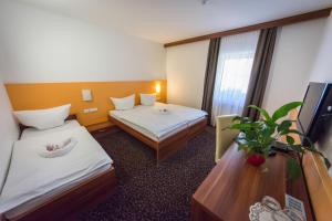 Domačija Vodnik & Apartments 