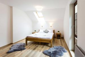 Superior Apartment room in Vila Jensen