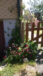 Bio-Bauernhof Heidegger