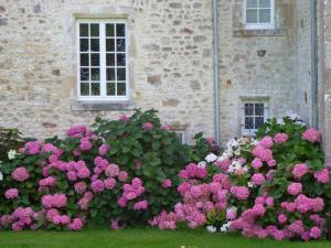 B&B / Chambres d'hotes Manoir De Savigny : photos des chambres