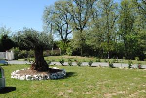 Maisons de vacances L occitane : photos des chambres