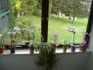 Appartements Birkenhof