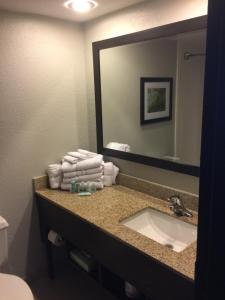 Deluxe Room with Two Double Beds room in Wyndham Garden Hotel - Jacksonville