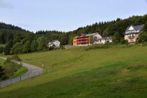 Maisons de vacances Les Gites d'Adelspach Gites & Spa en Alsace : photos des chambres