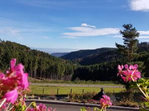 Maisons de vacances Les Gites d'Adelspach Gites & Spa en Alsace : photos des chambres