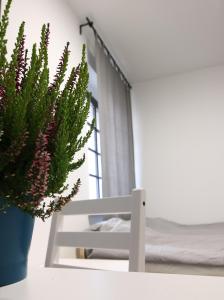 Willa BROWAR pokoje gościnne w centrum miasta na starówce, Self check in 24H, FV, TV Smart, Darmowe Wi-Fi, Parking, W sąsiedztwie restauracji i kawiarni, Usługi escort zakazane