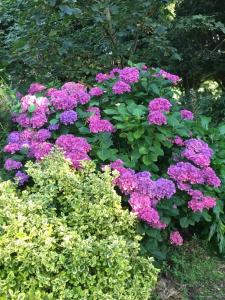 Clone House Event Villa