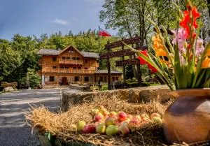 Willa Orle Gniazdo - 德武戈波莱兹德鲁伊