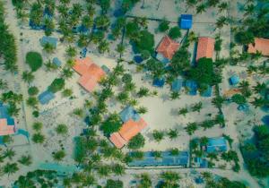 Sandy Edge