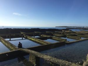 采居海景民宿 Cai Jyu B B 澎湖縣住宿推薦 Agoda