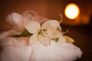 Wellness Hotel Zlatá Lípa