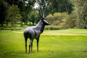 Hotels Le Pavillon du Golf d'Arras : photos des chambres