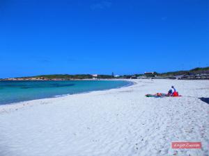 Pineta Spiaggia Grande img26