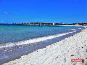 Pineta Spiaggia Grande img25