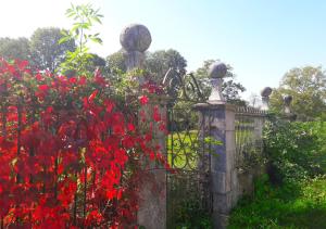 Domaine Lou Castet photo 6