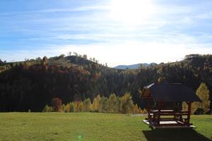 Garofita Pietrei Craiului