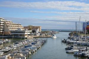 Appartement le lake Carnon-Plage France