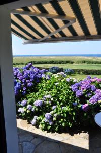 Maisons de vacances Maison de vacances au bord de la plage : photos des chambres