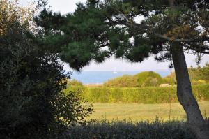 Maisons de vacances Maison de vacances au bord de la plage : photos des chambres