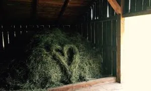 Ubytování NAPOLI - Černá Voda