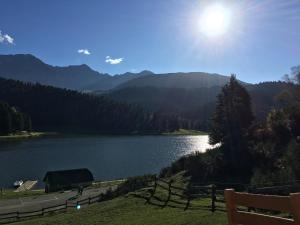 Maisons de vacances Gite Du Montagnol A Payolle : photos des chambres