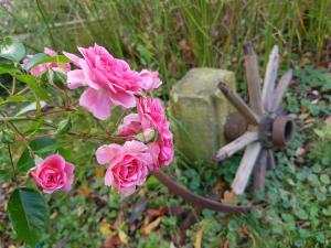 Pension Alte Schmiede