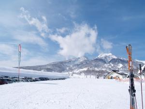 Woody House Kazamidori