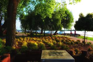 Domek Willa Żaba Serock Polska