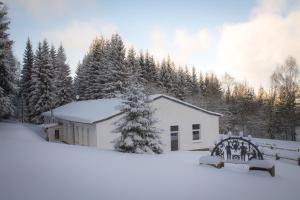 Erzgebirgsidyll Breitenbrunn Ferienwohnung