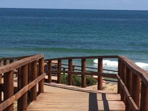 Looking For Paradise