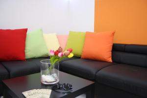 Smart Tech Plaza Flat