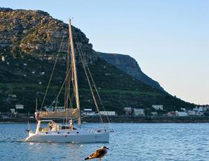 The Upper Deck at Sunny Cove