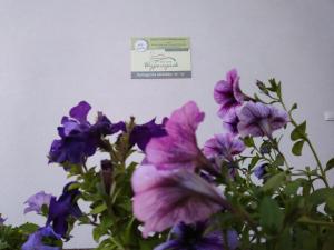 Agroturystyka Struzka