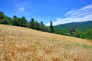 Villa Picchio by PosarelliVillas