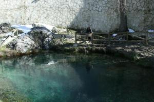 Apartamentos mirasierra plaza