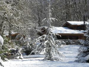 B&B / Chambres d'hotes Tumbleweed House : photos des chambres