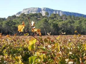 Sejours chez l'habitant Sejour Pic Saint Loup : photos des chambres