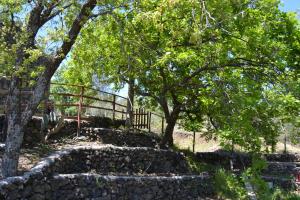 Casa Vacanza La Papuzza Mare e Etna