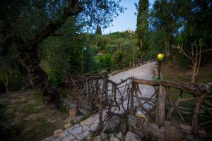 Villa Tatiana Zakynthos Greece