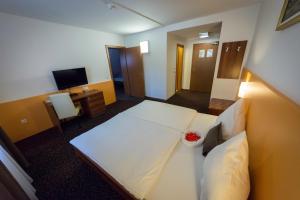 Domačija Vodnik & Apartments