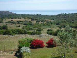 Fattoria di Anja e Marco img33