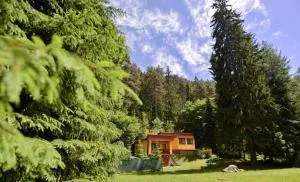 Chata Monika Demänovská Dolina Jasná - Demanovska Dolina