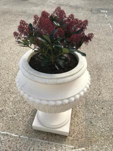 Chambres dhotes Karine SMEJ