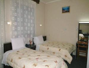 Double or Twin Room room in Hotel Hellinis